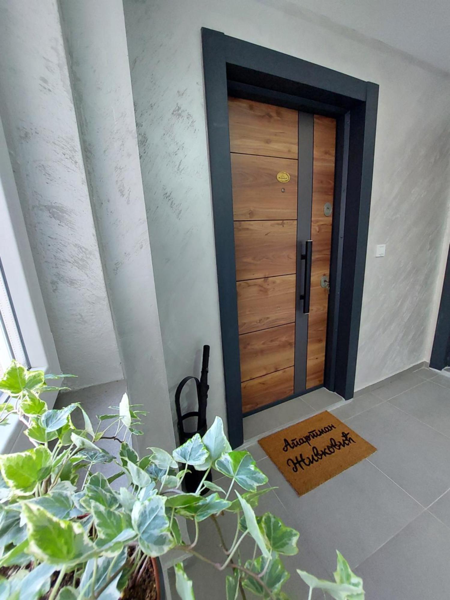 Apartmani Zivkovic Veliko Gradiste Exterior photo